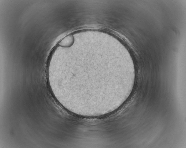 X0000112031168200909141050