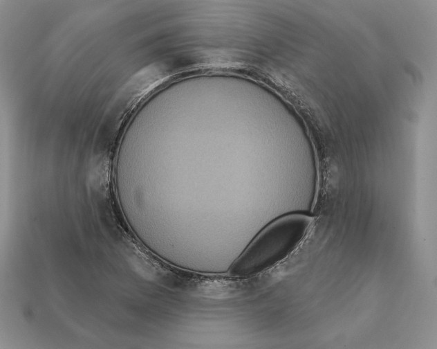 X0000112031169200909141050