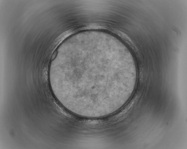 X0000112031177200909141050