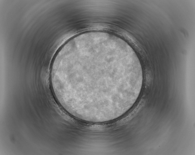 X0000112031178200909141050