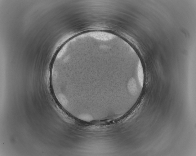 X0000112031179200909141050