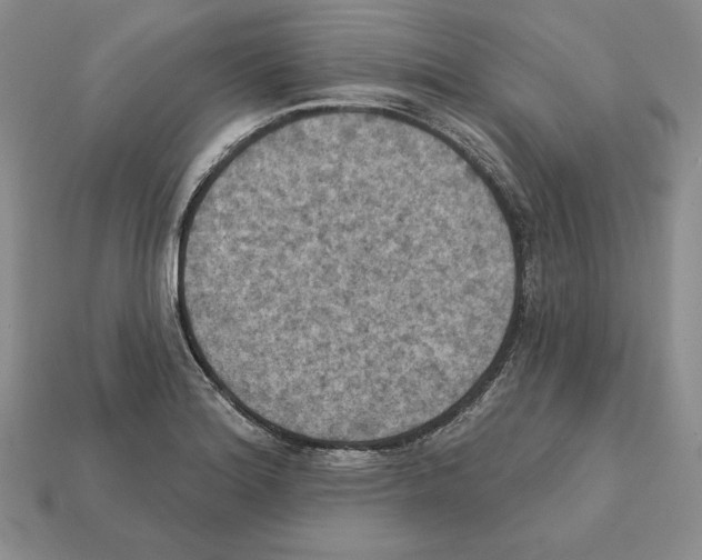 X0000112031180200909141050