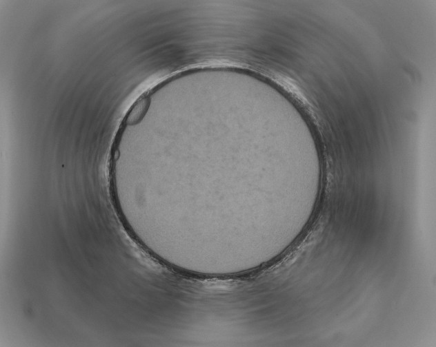 X0000112031181200909141050