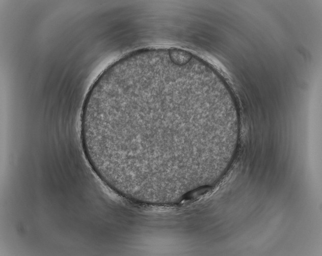 X0000112031183200909141050