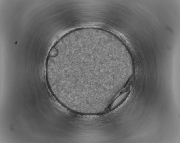 X0000112031184200909141050