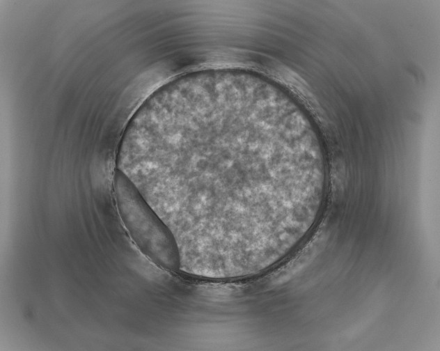 X0000112031185200909141050