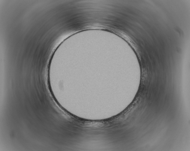 X0000112031187200909141050