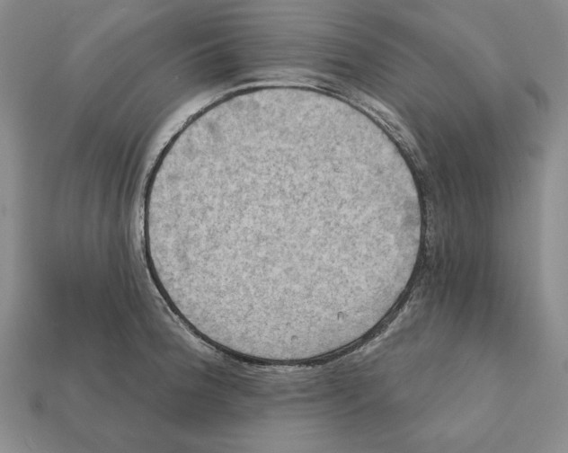 X0000112031188200909141050