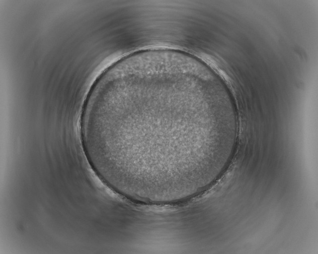 X0000112031189200909141050