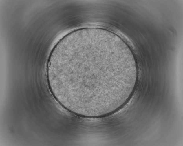 X0000112031192200909141050