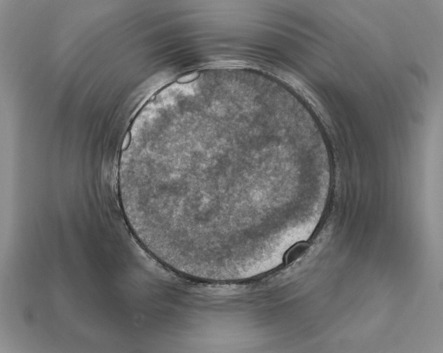 X0000112031193200909141050