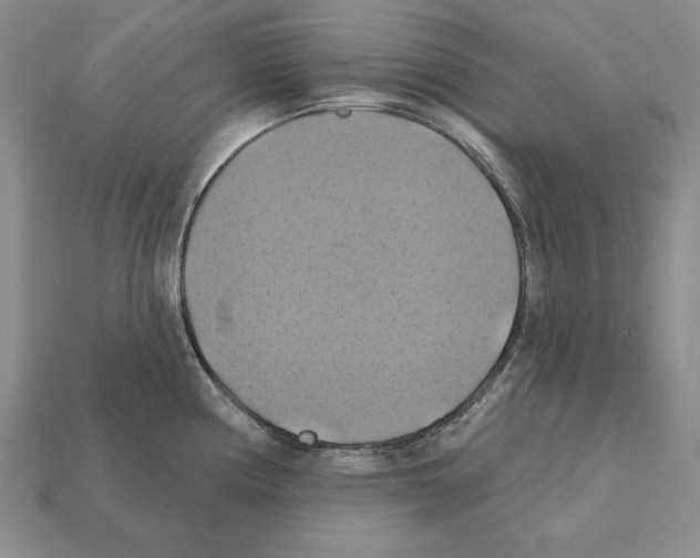 X0000112031194200909141050