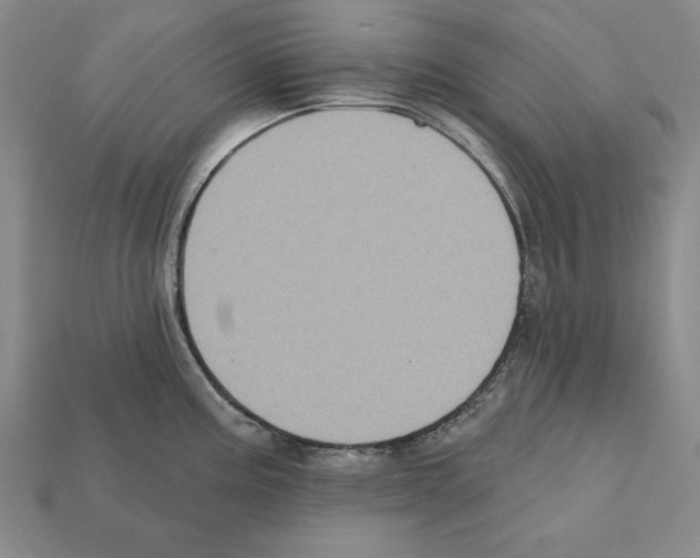 X0000112031195200909141050
