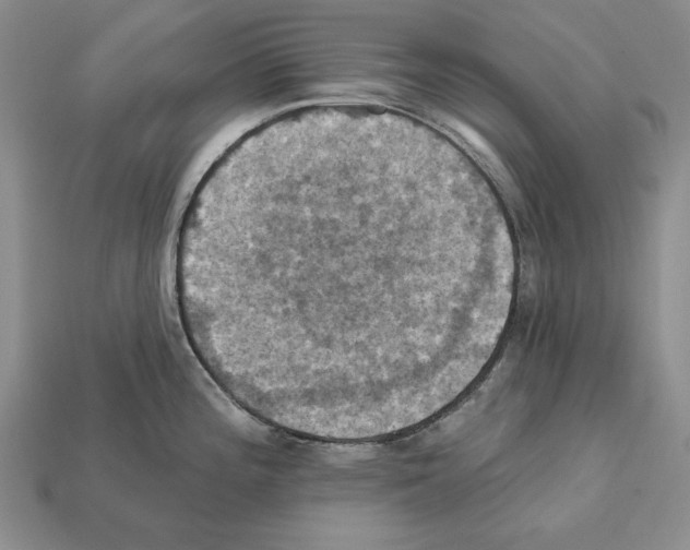 X0000112031196200909141050