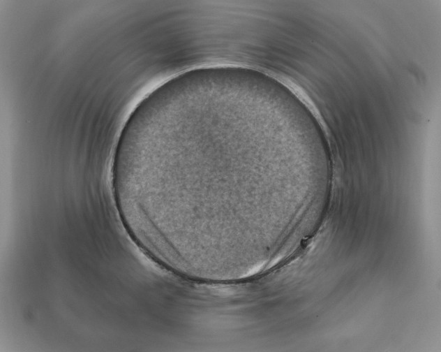 X0000112031197200909141050