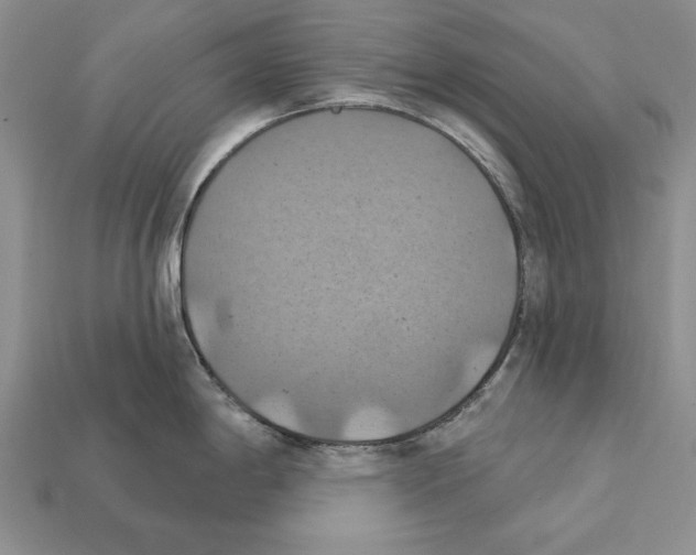 X0000112031198200909141050