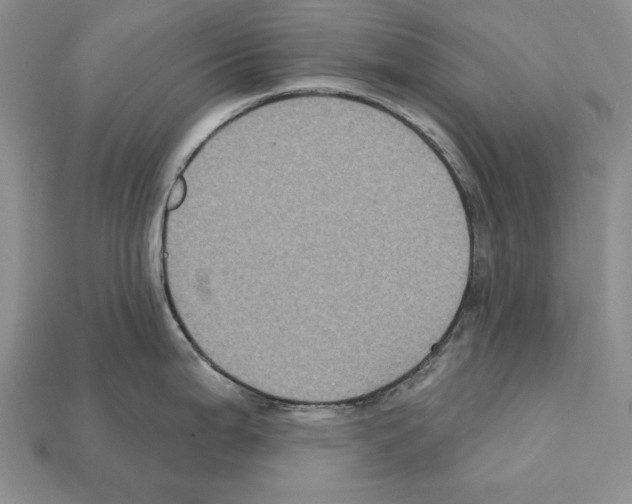 X0000112031199200909141050
