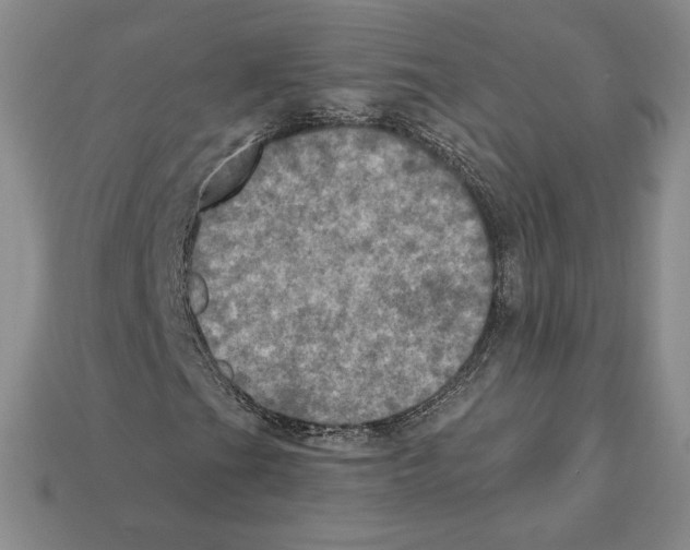 X0000112031201200909141049