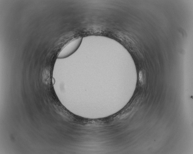 X0000112031203200909141049