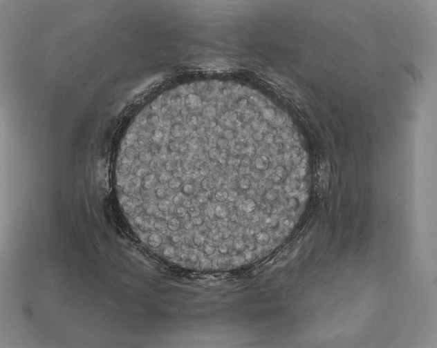 X0000112031205200909141049