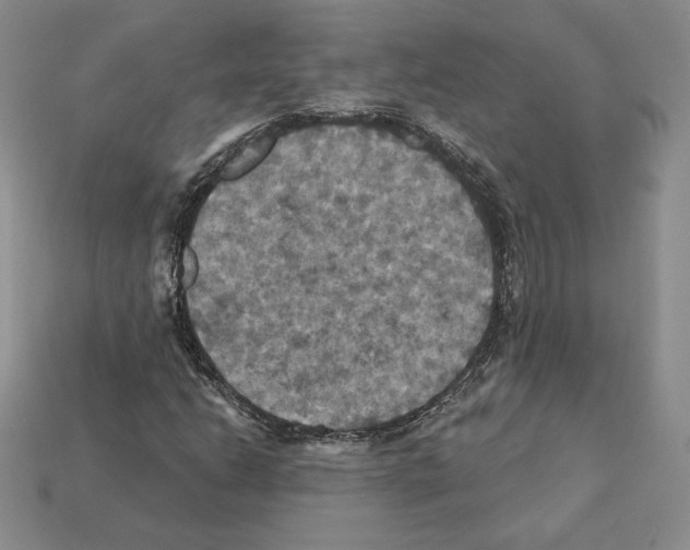 X0000112031206200909141049