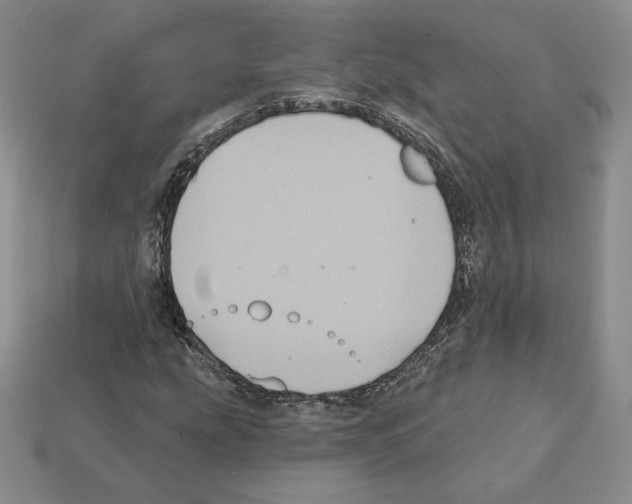 X0000112031207200909141049