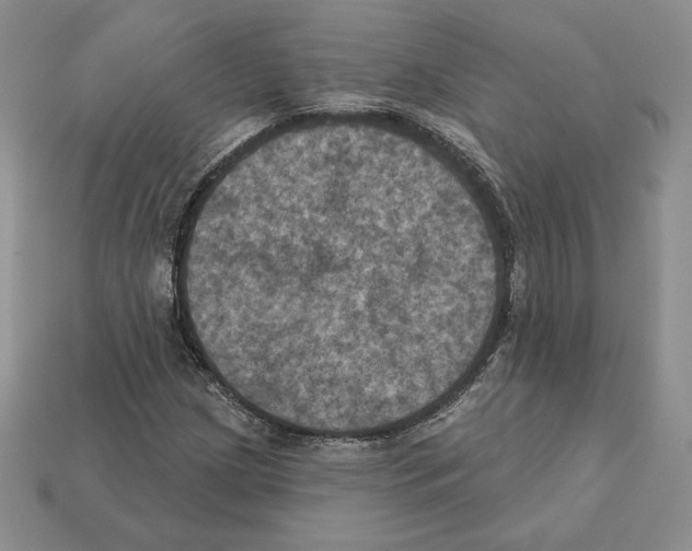X0000112031209200909141049