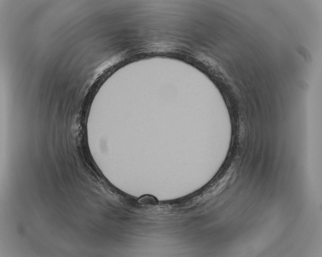X0000112031210200909141049
