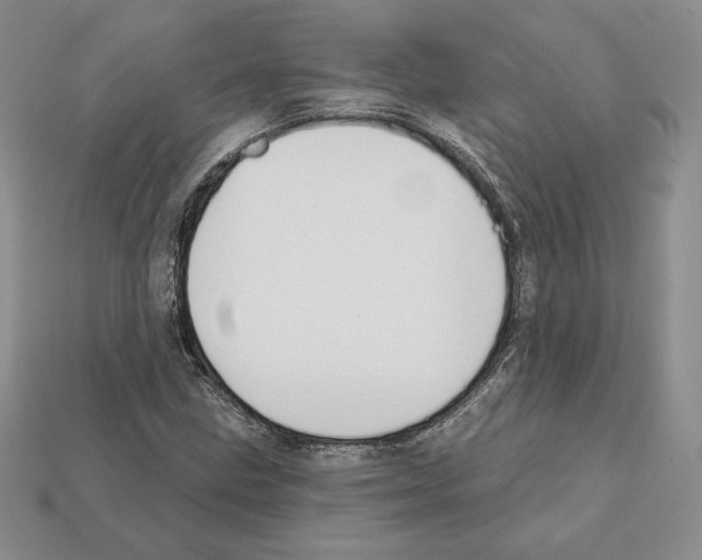 X0000112031211200909141049