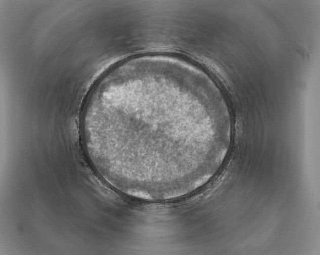 X0000112031212200909141049