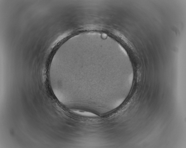 X0000112031213200909141049
