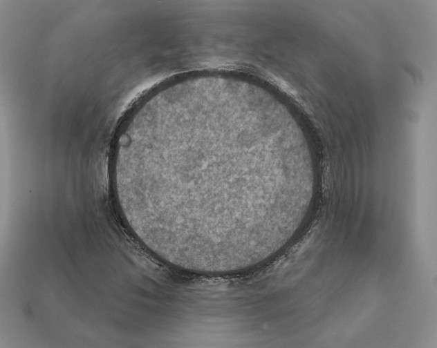 X0000112031214200909141049