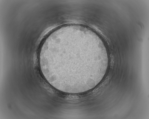 X0000112031215200909141049