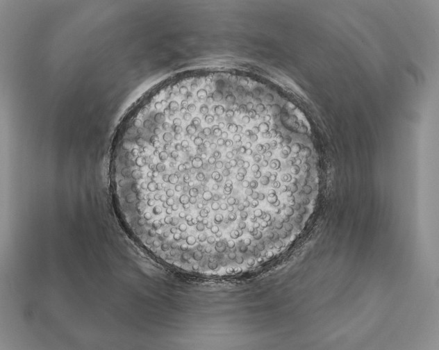 X0000112031216200909141049