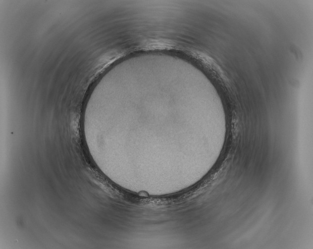 X0000112031217200909141049