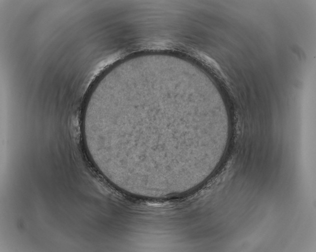 X0000112031218200909141049
