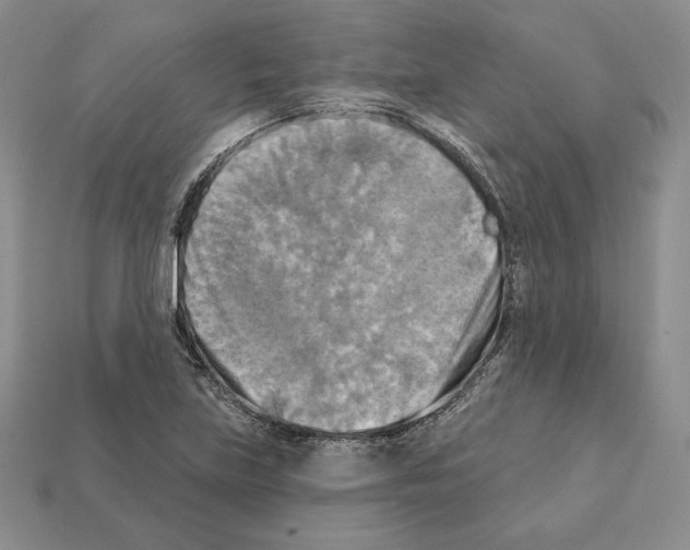 X0000112031219200909141049