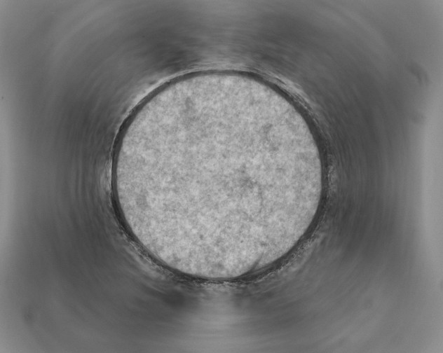 X0000112031220200909141049