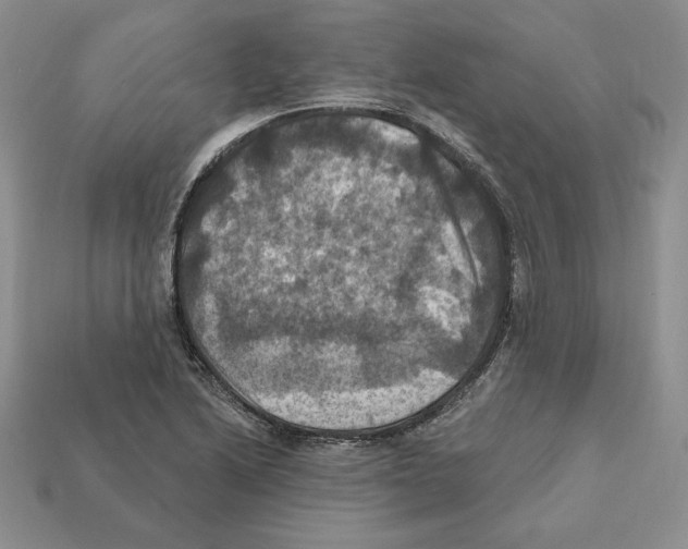 X0000112031222200909141049