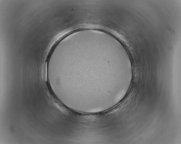 X0000112031223200909141049