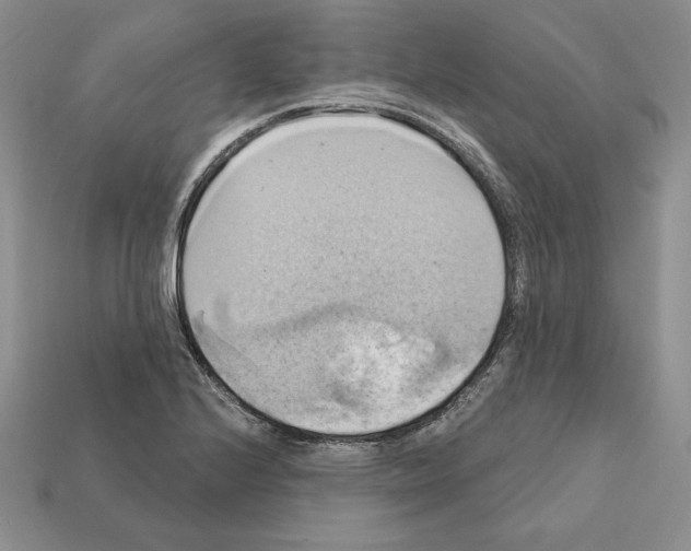 X0000112031224200909141049
