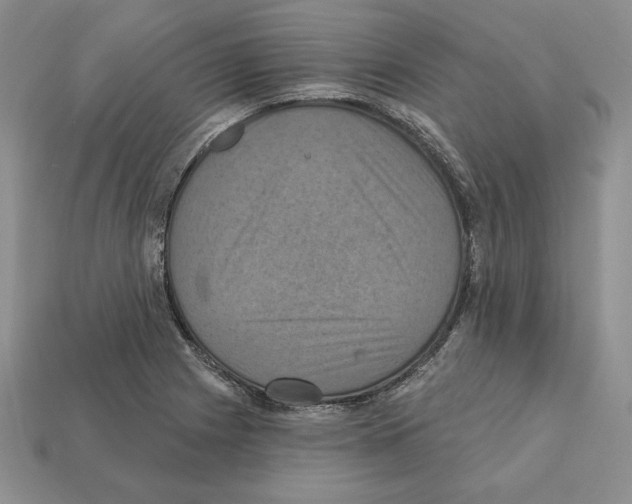 X0000112031225200909141049