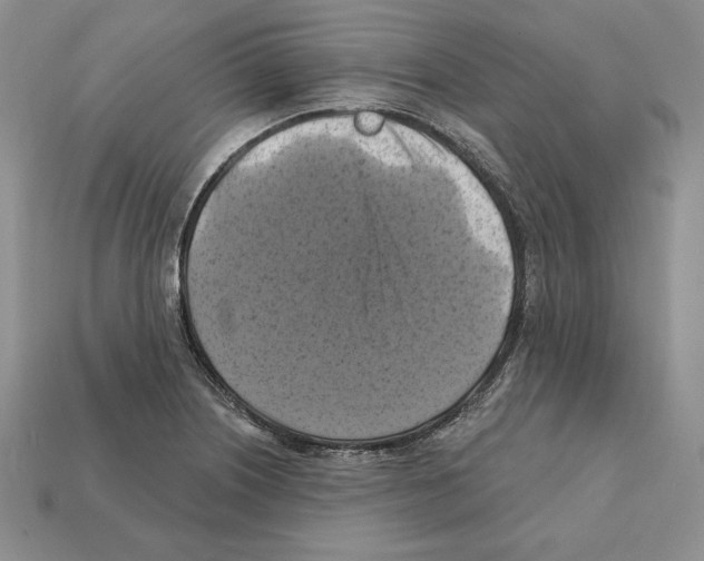 X0000112031226200909141049