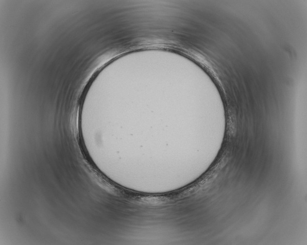 X0000112031227200909141049