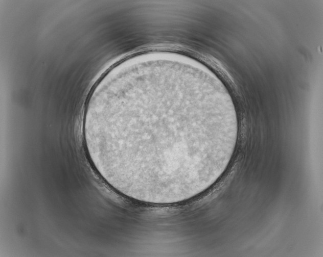 X0000112031228200909141049