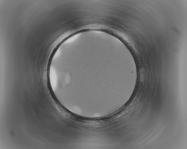 X0000112031229200909141049