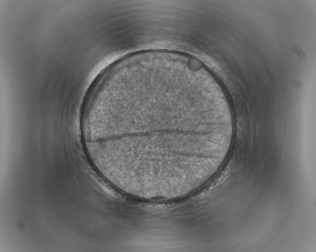 X0000112031230200909141049