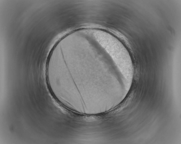 X0000112031231200909141049