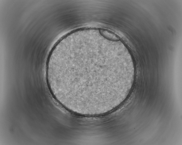 X0000112031232200909141049