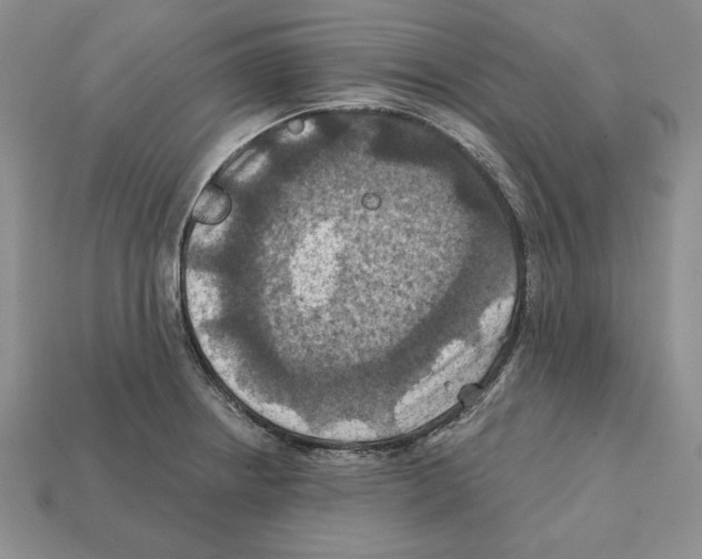 X0000112031234200909141049